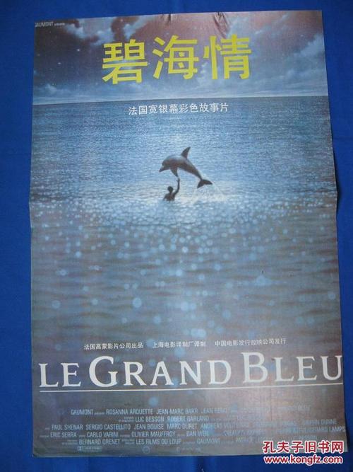 蔚蓝海岸大学 Business diplom